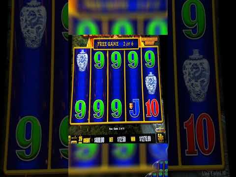 alvynn casino jackpot