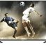 Hisense 65" 4K UHD 5 Series TV Model 65N5 for Hire